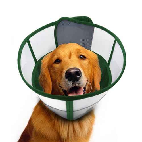 Dog Cone to Stop Licking (S (Neck: 11.4-12.6") / Dark Green)