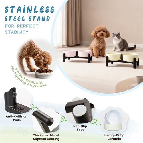 Elevated Ceramic Dog Bowl Set (Blue / 1.4 Cups)