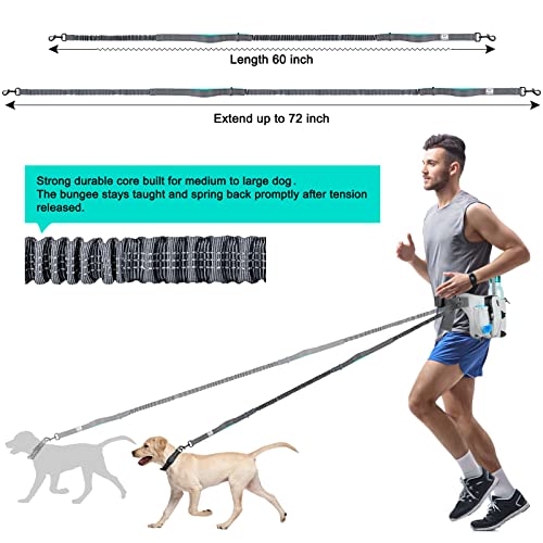 Retractable Hands Free Dog Leash with Dual Bungees for 2 Dogs (Gray)