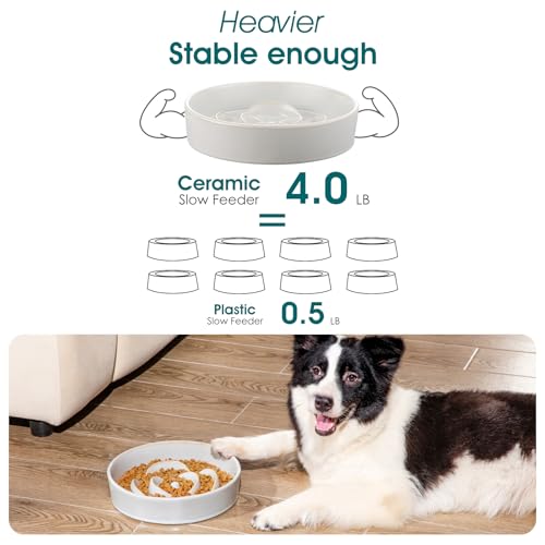 Slow Feeder Dog Bowls (L - 3 Cups / Light Gray)