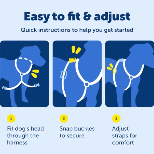 Easy Walk 3 in 1 No Pull Dog Harness (Teal / Small (Pack of 1))