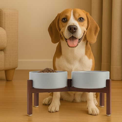 Raised Ceramic Dog Bowls Set with Non (42.27 Oz / Gray)