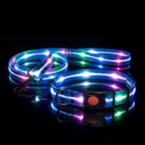 LED Dog Collar & 4 Foot Leash (Blue)