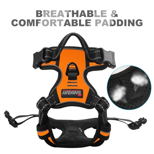 Dog Harness No Pull for Small Sized Dog Front Back Clips (X-Small(Chest:15.5-19.5”) / Orange)