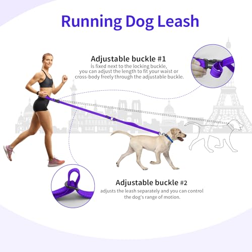 Hands Free Dog Leash by Kazazoo (Purple / L)