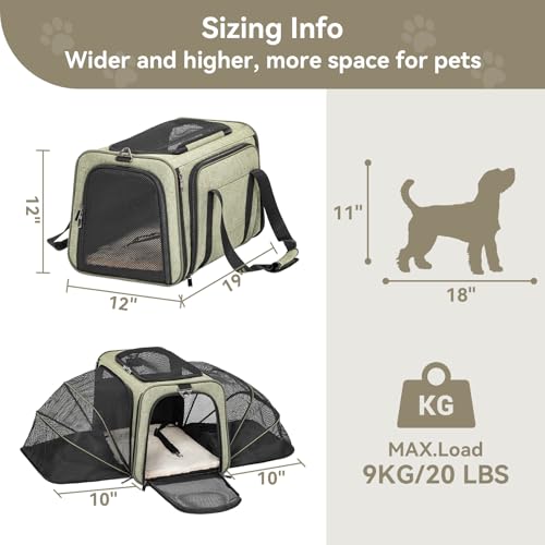 Large Double Expandable Cat Carrier for Large Cats and Small Dogs (19.0"L x 12.0"W x 12.0"H / Green)