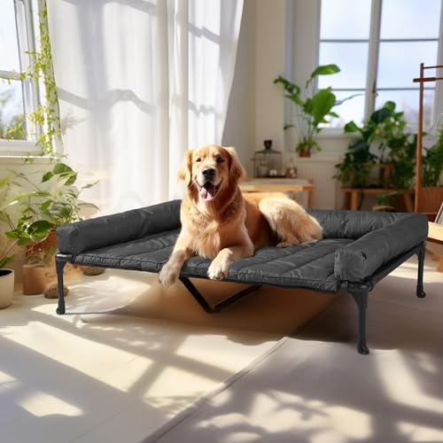 Outdoor Elevated Dog Bed with Waterproof Bolster Cushion (Black / 49.0"L x 33.0"W x 9.0"Th)