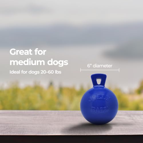Tug-n-Toss - Heavy Duty Chew Ball w/ Handle (Blue, 6") for Medium Breeds (Blue / Medium (6 in))