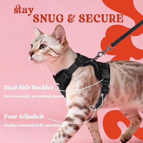 Cat Harness and Leash Set (Xxs / Black)