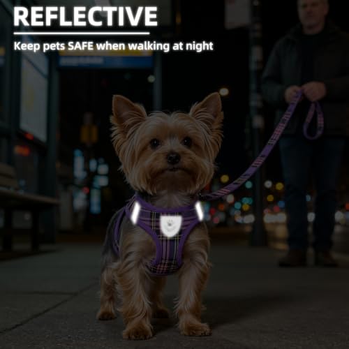Dog Harness Collar and Leash Set No Pull for Small Medium Sized (Purple / XL (CHEST 20"-22"))