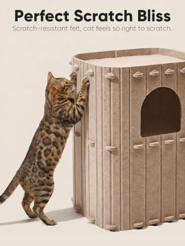 Cat House for Indoor Cats