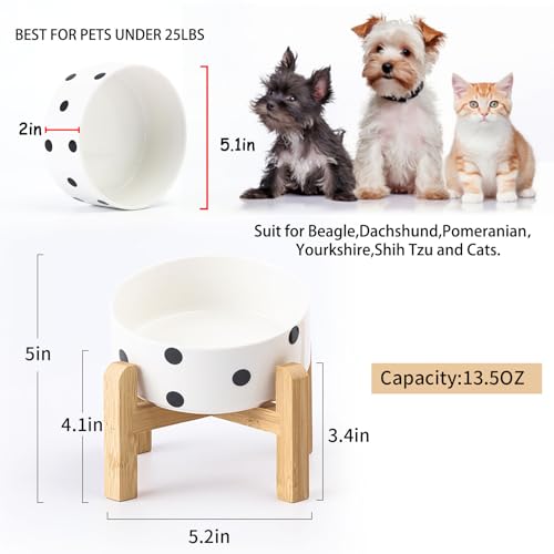 Raised Elevated 15°Slanted Ceramic Dog Bowl for Small Breeds (Black Dot / 1.7 CUPS - Puppy/Small Dogs & Cat Bowls)