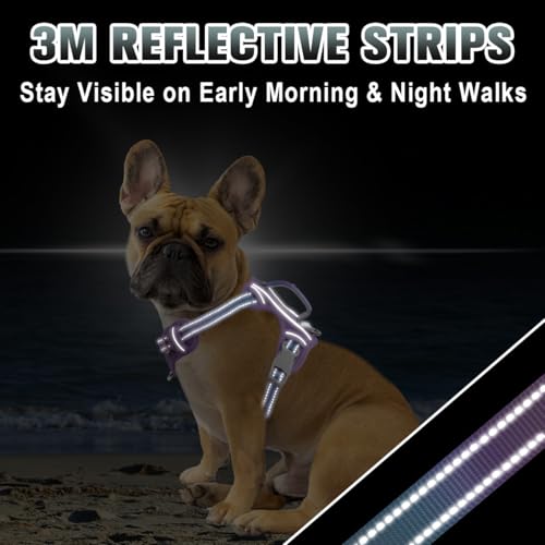 Dog Harness for Small Sized Dog No Pull Dog Vest ID Tag Pocket (Lavender Sky / Small)