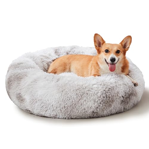 Western Home Calming Donut Cat Bed Small Dog Bed Washable (White Grey / 20.0"l x 20.0"w x 6.0"th)