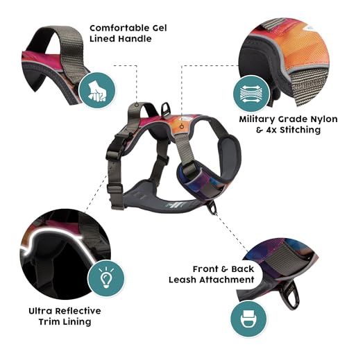 Embark No Pull Dog Harness (M / Aurora)