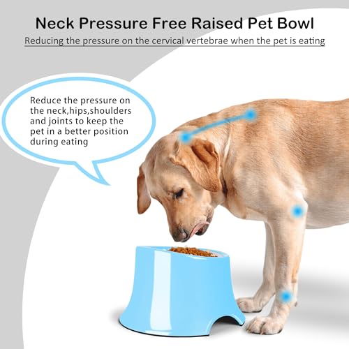 Non Slip Elevated Dog Bowl (S/1 Cup / Blue)