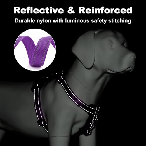 No Pull Dog Harness with Leather Accents (XL / Purple)