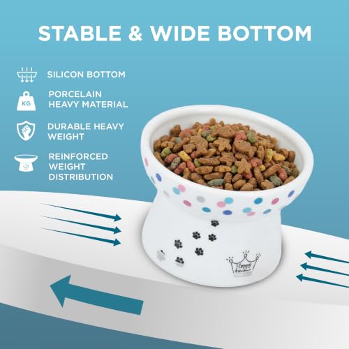 Necoichi Ceramic Raised Cat Food Bowl (Colorful Dots / Regular)