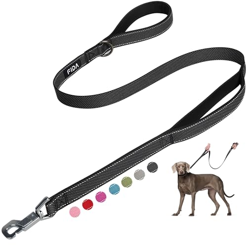 Heavy Duty Dog Leash for Medium Large Dogs (5 Feet (Pack of 1) / Black)