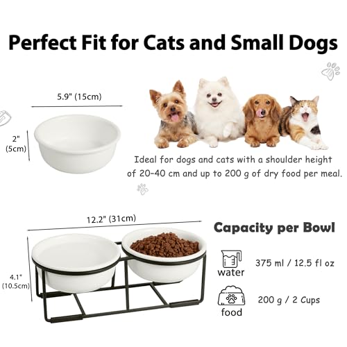 Ceramic Elevated Dog Bowl Set (Matte White / S × 2)