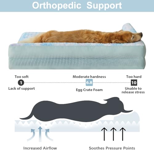 Orthopedic Washable Dog Bed (Rainbow / 48.0"l x 35.0"w x 7.5"th)