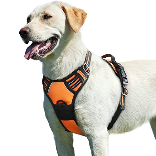 Dog Harness for Large Dogs (Large / Orange)