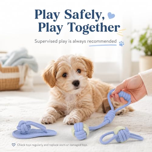 Dog Rope Toys for Puppies & Small Dogs (Blue)