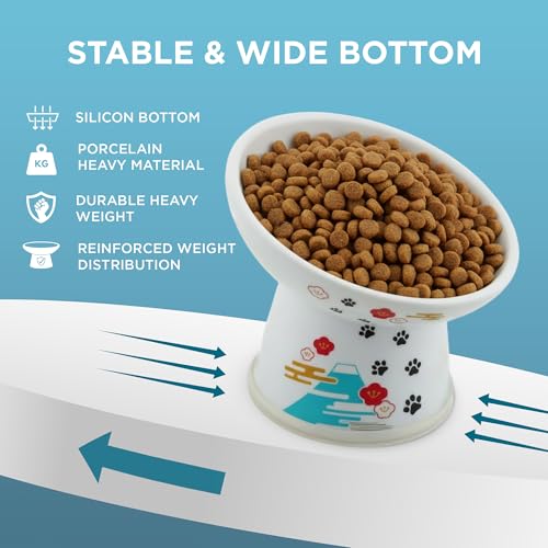 Necoichi Ceramic Elevated Cat Food Bowl (Fuji / Regular Tilted)