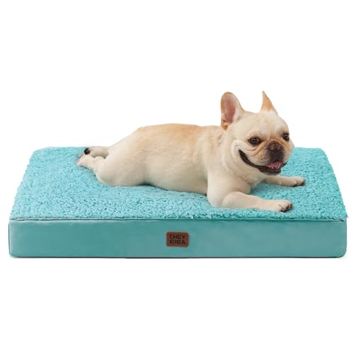 Orthopedic Dog Bed Medium with Removable Washable Cover (30*20*3.5 inches / Turquoise Blue)