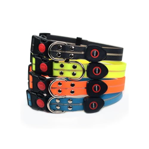 LED Dog Collar & 4 Foot Leash (Black)