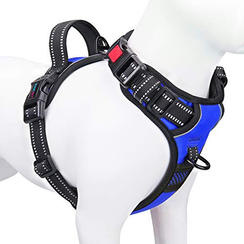 No Pull Dog Harness Medium Reflective Front Clip Vest with Handle (Extra Small / Royal Blue)