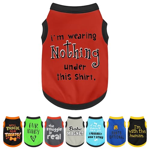 Elevate Your Pet's Seasonal Style with Playful Panache (2XL-(20~30lb) | Chest(~21.5") / Nothing under)
