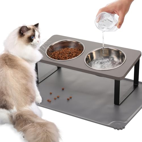 Upgraded Elevated Cat Bowls with Food Mat