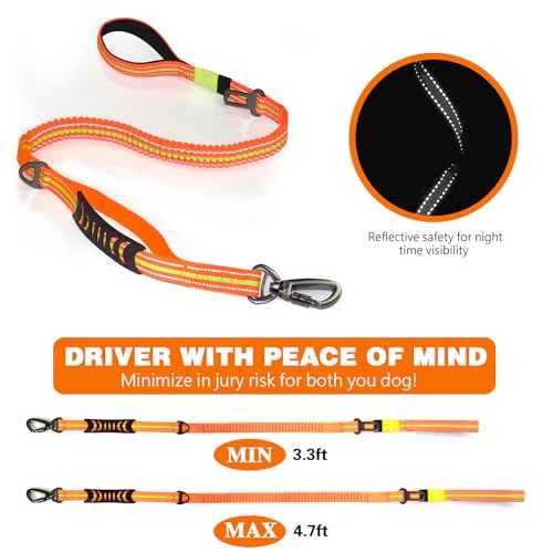 Heavy Duty Bungee Dog Leash with Locking Carabiner for Large Dogs (Orange)