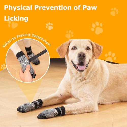 8 Pack Dog Socks for Hardwood Floors (Grey / X-Large (12 Count))