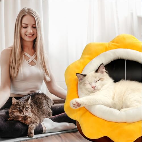 Cat Beds for Indoor Cats (Sunflower Brown / L)