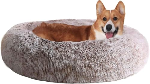 Dog Beds Large Sized Dog (36" / Smoke Brown)