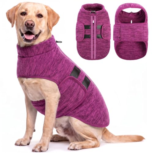 XL Dog Sweater (Cationic Berry / X-Large)