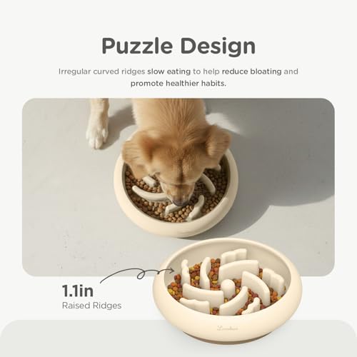 Slow Feeder Dog Bowls Made of Premium Food (Ivory / Standard)