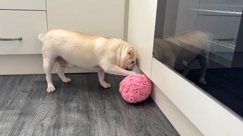 Medium Breed Snuffle Foraging Dog Puzzle Ball Toy Pink Large (Pink / Large)