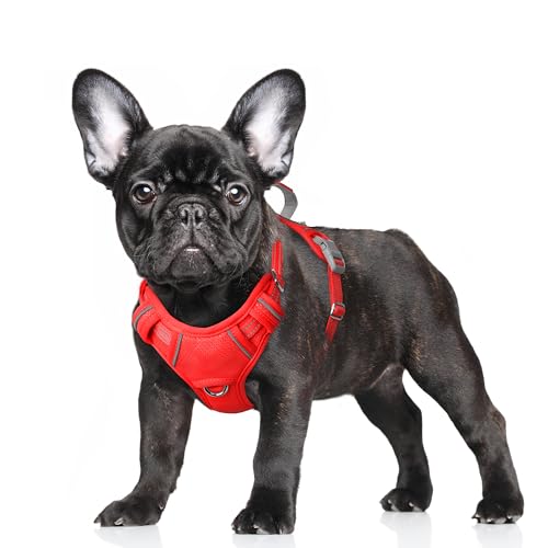 Dog Harness for Small Sized Dog No Pull Dog Vest ID Tag Pocket (Red / Small)