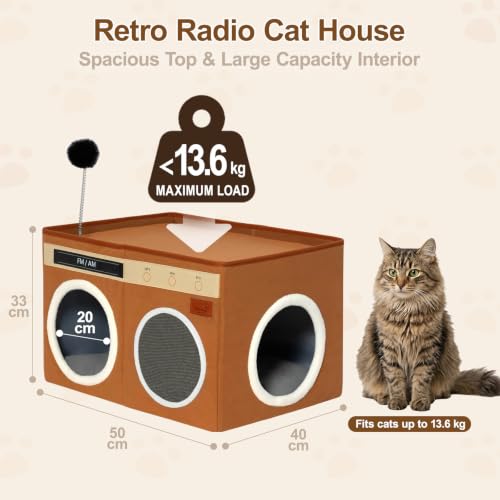Retro Radio Cat House