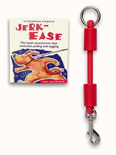 BUNGEE DOG LEASH EXTENSION (Small (up to 20 pounds) / Red)