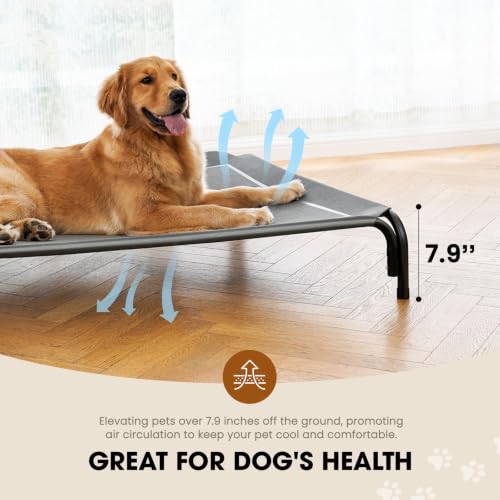 Outdoor Elevated Dog Bed for Large Sized Dogs (XXL(53.94"x35.83"x7.90") / Grey)