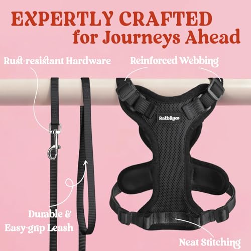 Cat Harness and Leash Set (Xxs / Black)