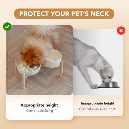 Elevated Slow Feeder Dog Bowls (Light Yellow)