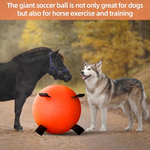Herding Ball for Dogs (Herding Ball / 25 Inch)