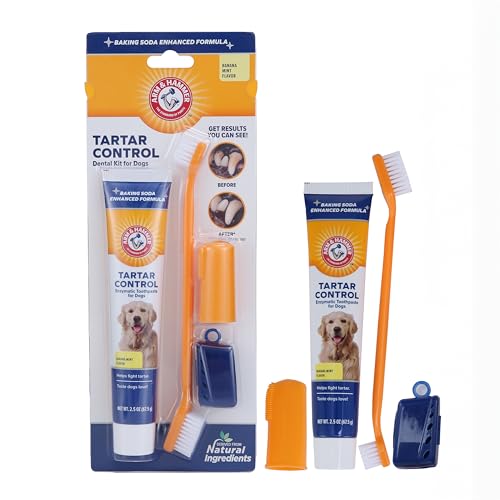 Tartar Control Dog Dental Kit (2.5 Ounce (Pack of 1))
