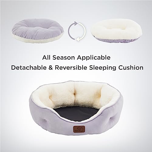 Dog Beds for Small Dogs (20"L x 19"W x 6"Th / Azure Lilac)