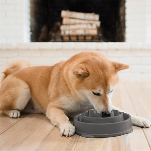 Fun Feeder Slo Bowl Dog Slow Feeder (Gray / Medium)